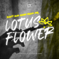 Lotus Flower